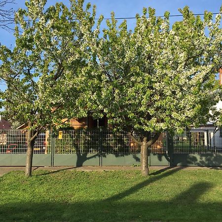 Eszter Vendeghaz Otel Berekfürdő Dış mekan fotoğraf
